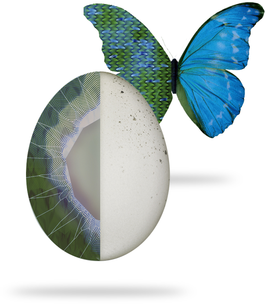 Fotomontaje con mariposa representando el concepto de cristales