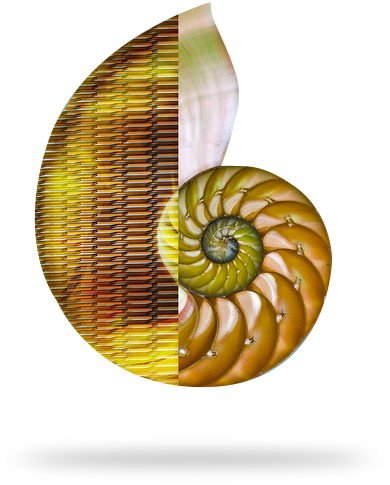 Fotomontaje con caracola en espiral representando el concepto de cristalografía
