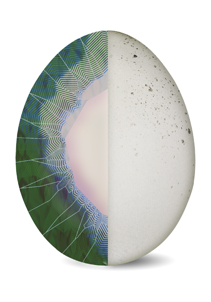 Ilustración de un huevo representando Cristalografía.